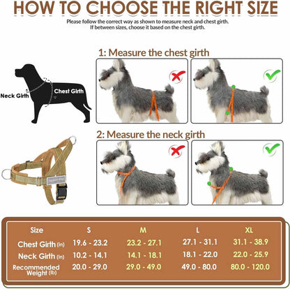 No Pull Dog Harness and Leash Set, Soft Padded for Large Medium Dog