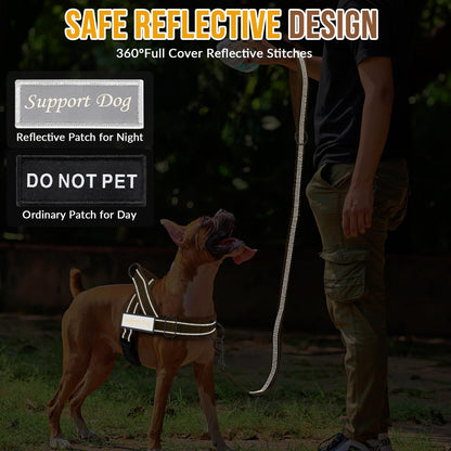 No Pull Dog Harness and Leash Set, Soft Padded for Large Medium Dog