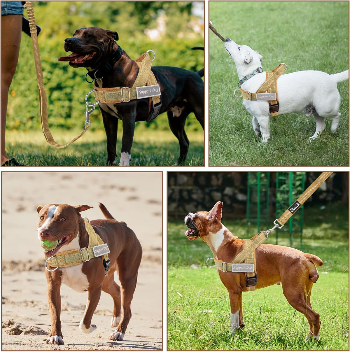 No Pull Dog Harness and Leash Set, Soft Padded for Large Medium Dog