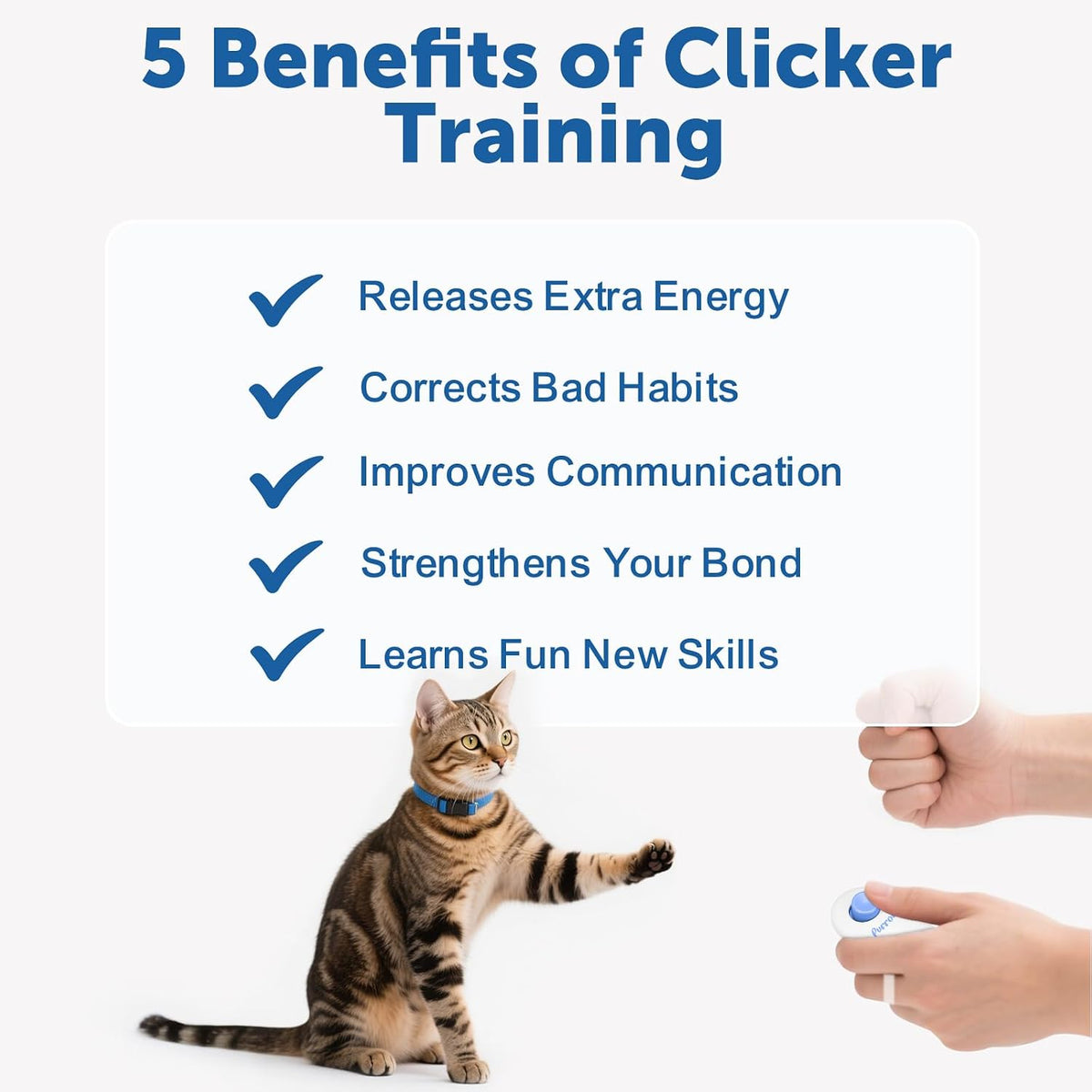 Cat Training Clicker Kit – Includes Finger Clicker and Target Stick – Perfect for Positive Reinforcement, Behavior & Obedience Training Indoors & Outdoors – Suitable for Dogs, Birds & Small Pets