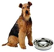 OurPet's DuraPet Slow Feed Premium Stainless Steel Dog Bowl, Silver (2040010301)