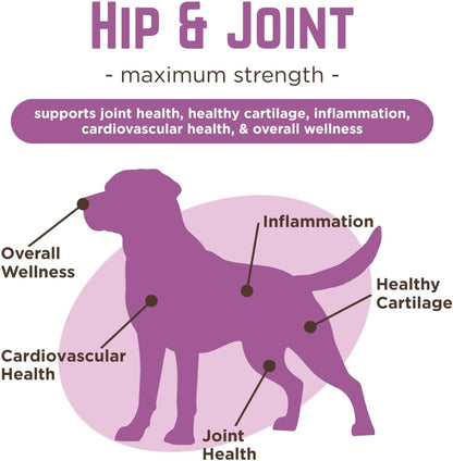 Dog Hip & Joint Wellness Supplement – High-Strength Glucosamine, MSM, Omega & Chondroitin Chews and Breeds – Vet Formulated Chicken Dog Treat
