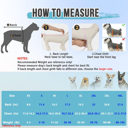 Recovery Suit for Dogs, Spay Neuter Surgery Suit Onesie Female Male