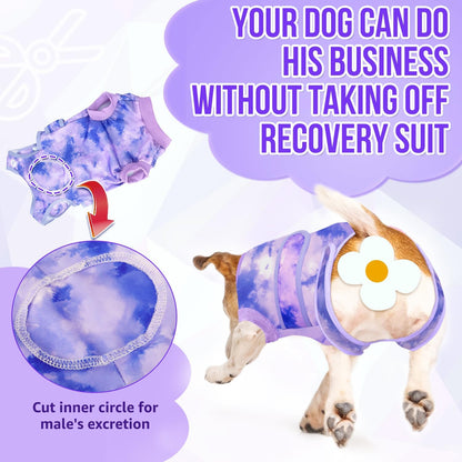 Recovery Suit for Dogs, Spay Neuter Surgery Suit Onesie Female Male