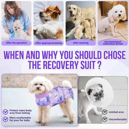 Recovery Suit for Dogs, Spay Neuter Surgery Suit Onesie Female Male
