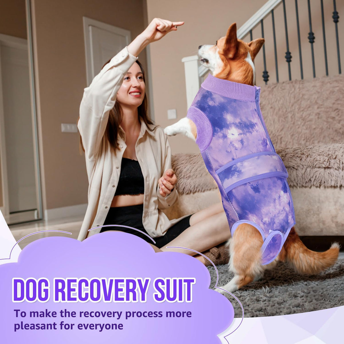 Recovery Suit for Dogs, Spay Neuter Surgery Suit Onesie Female Male