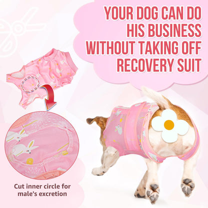 Recovery Suit for Dogs, Spay Neuter Surgery Suit Onesie Female Male