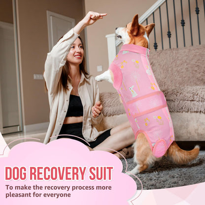 Recovery Suit for Dogs, Spay Neuter Surgery Suit Onesie Female Male