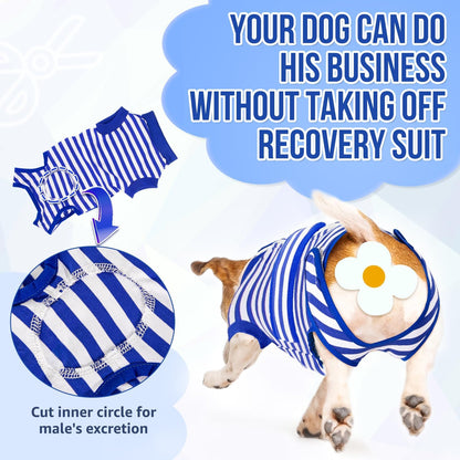 Recovery Suit for Dogs, Spay Neuter Surgery Suit Onesie Female Male
