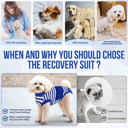 Recovery Suit for Dogs, Spay Neuter Surgery Suit Onesie Female Male