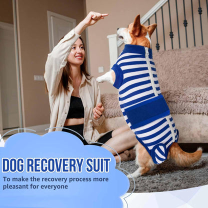 Recovery Suit for Dogs, Spay Neuter Surgery Suit Onesie Female Male