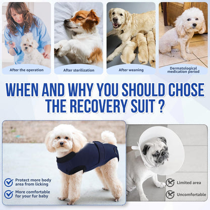 Recovery Suit for Dogs, Spay Neuter Surgery Suit Onesie Female Male