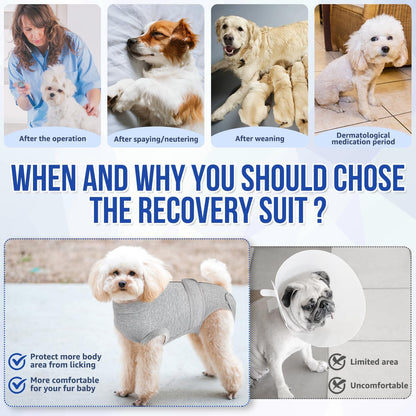 Recovery Suit for Dogs, Spay Neuter Surgery Suit Onesie Female Male