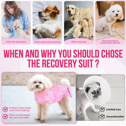 Recovery Suit for Dogs, Spay Neuter Surgery Suit Onesie Female Male