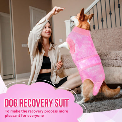 Recovery Suit for Dogs, Spay Neuter Surgery Suit Onesie Female Male