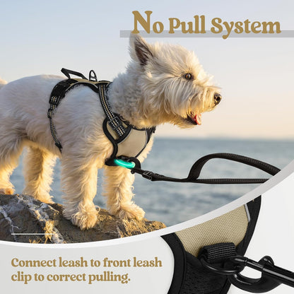 Dog Harness, No Pull for Large Dogs with 2 Leash Clips, Pet Vest | No Choke with Handle, Adjustable Soft Padded, Reflective, Easy Control for Walking, Black, Large