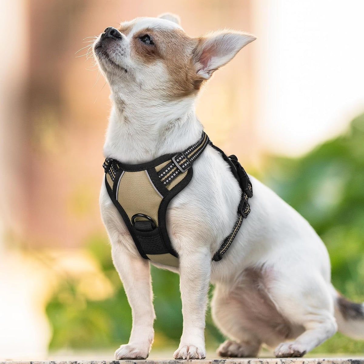 Dog Harness, No Pull for Large Dogs with 2 Leash Clips, Pet Vest | No Choke with Handle, Adjustable Soft Padded, Reflective, Easy Control for Walking, Black, Large