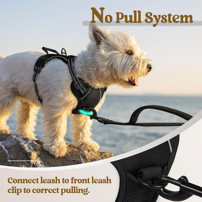 Dog Harness, No Pull for Large Dogs with 2 Leash Clips, Pet Vest | No Choke with Handle, Adjustable Soft Padded, Reflective, Easy Control for Walking, Black, Large