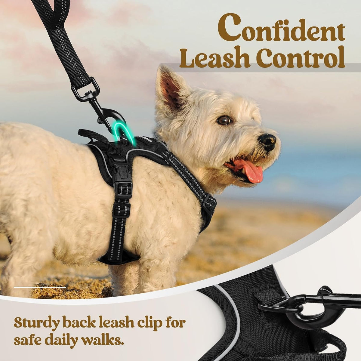 Dog Harness, No Pull for Large Dogs with 2 Leash Clips, Pet Vest | No Choke with Handle, Adjustable Soft Padded, Reflective, Easy Control for Walking, Black, Large