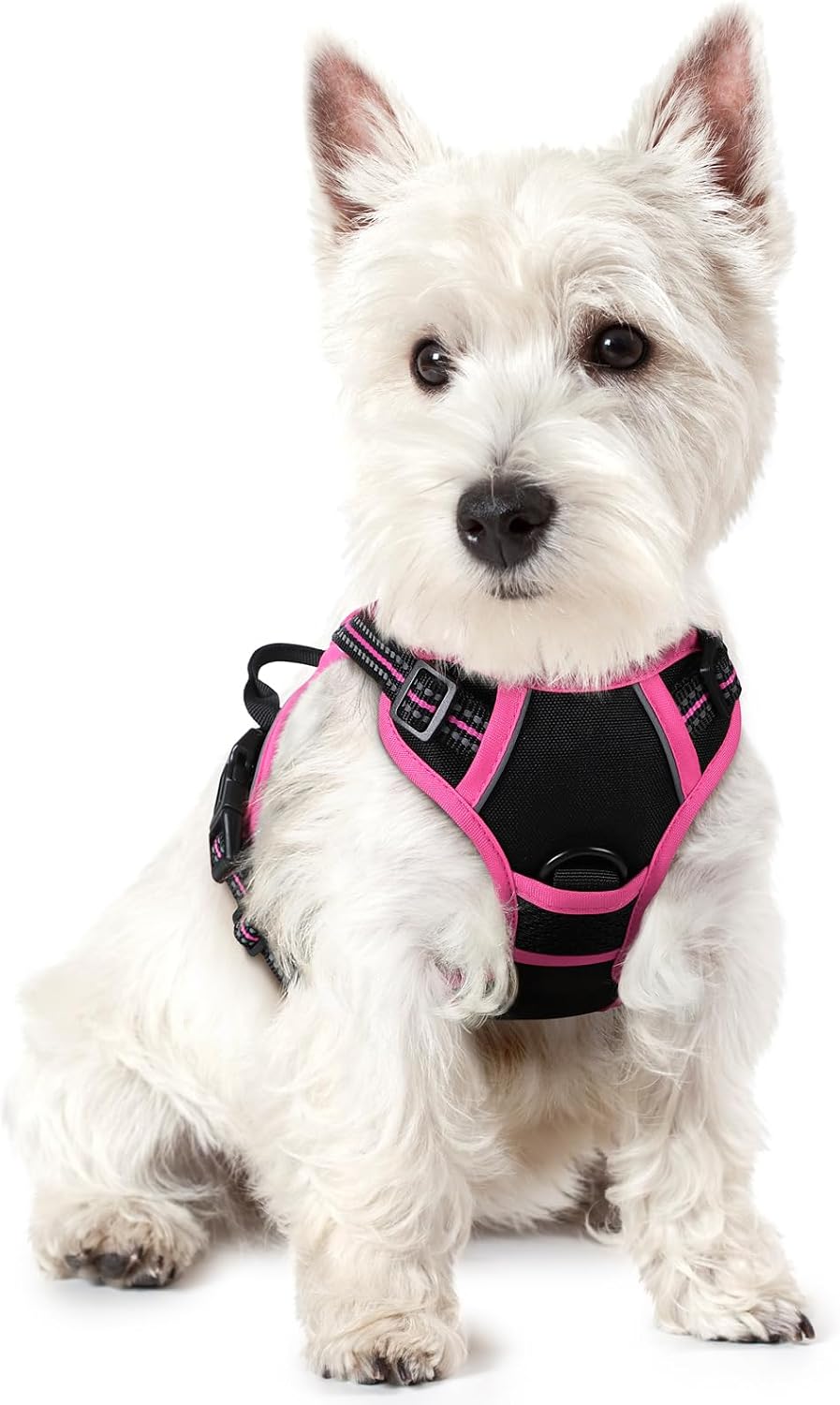 Dog Harness, No Pull for Large Dogs with 2 Leash Clips, Pet Vest | No Choke with Handle, Adjustable Soft Padded, Reflective, Easy Control for Walking, Black, Large