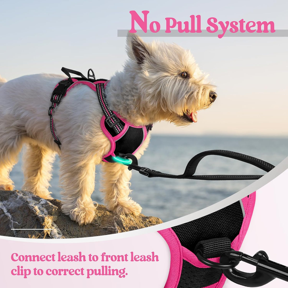 Dog Harness, No Pull for Large Dogs with 2 Leash Clips, Pet Vest | No Choke with Handle, Adjustable Soft Padded, Reflective, Easy Control for Walking, Black, Large