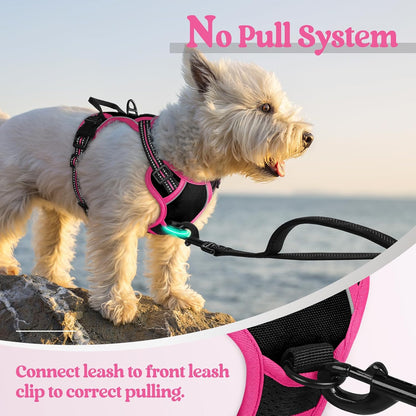 Dog Harness, No Pull for Large Dogs with 2 Leash Clips, Pet Vest | No Choke with Handle, Adjustable Soft Padded, Reflective, Easy Control for Walking, Black, Large