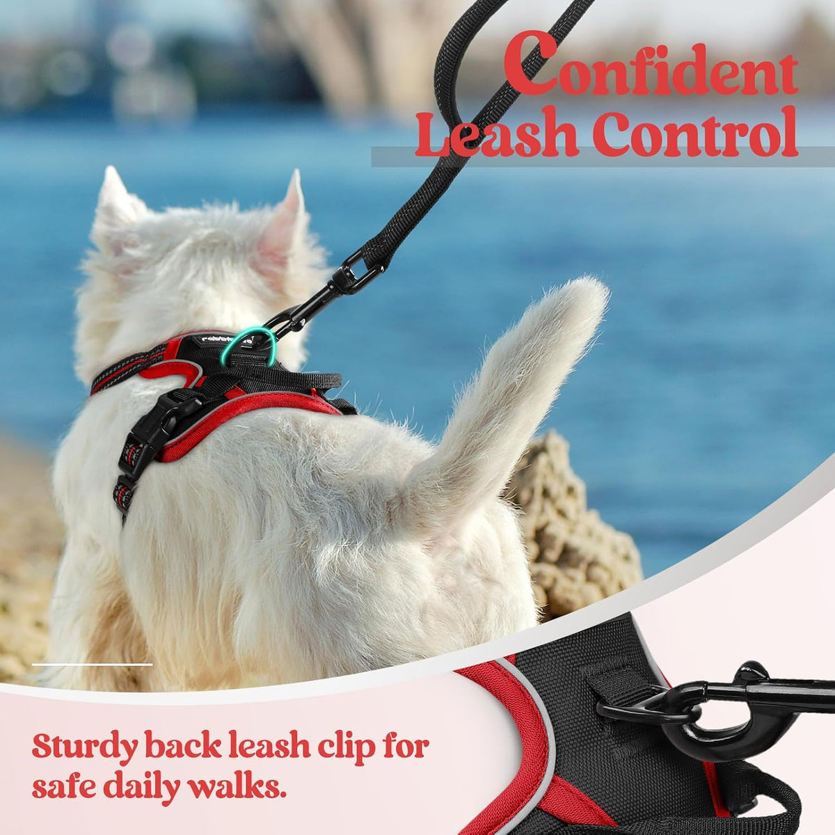 Dog Harness, No Pull for Large Dogs with 2 Leash Clips, Pet Vest | No Choke with Handle, Adjustable Soft Padded, Reflective, Easy Control for Walking, Black, Large