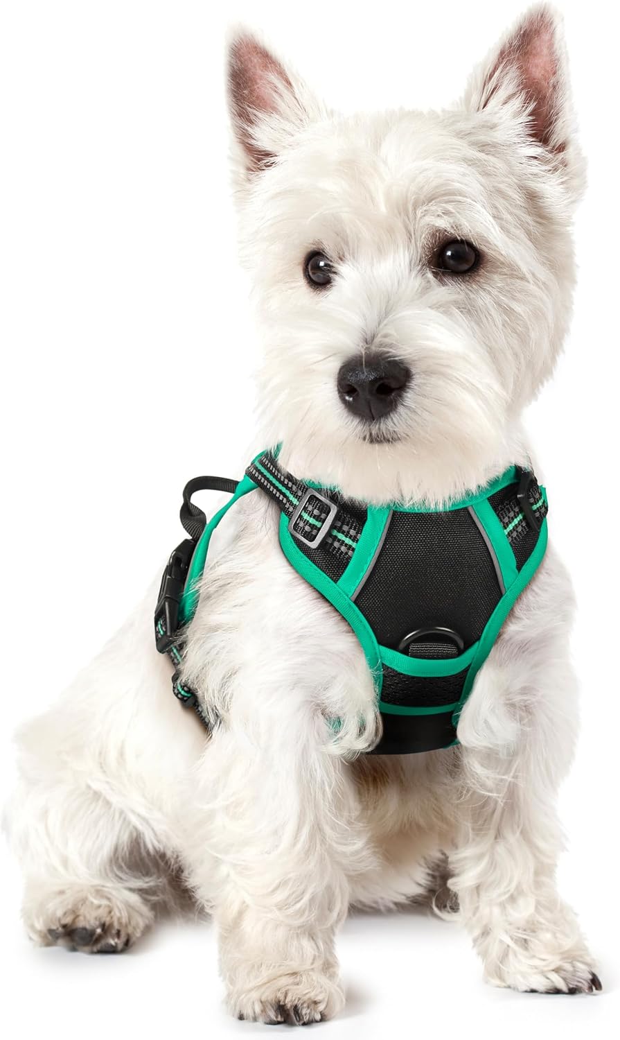 Dog Harness, No Pull for Large Dogs with 2 Leash Clips, Pet Vest | No Choke with Handle, Adjustable Soft Padded, Reflective, Easy Control for Walking, Black, Large