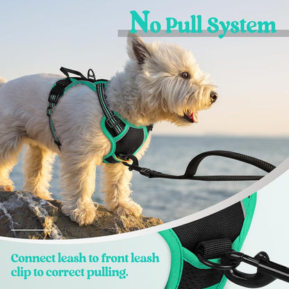 Dog Harness, No Pull for Large Dogs with 2 Leash Clips, Pet Vest | No Choke with Handle, Adjustable Soft Padded, Reflective, Easy Control for Walking, Black, Large
