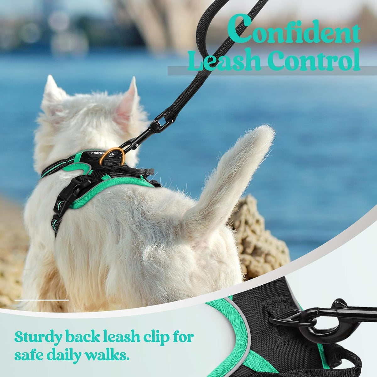 Dog Harness, No Pull for Large Dogs with 2 Leash Clips, Pet Vest | No Choke with Handle, Adjustable Soft Padded, Reflective, Easy Control for Walking, Black, Large