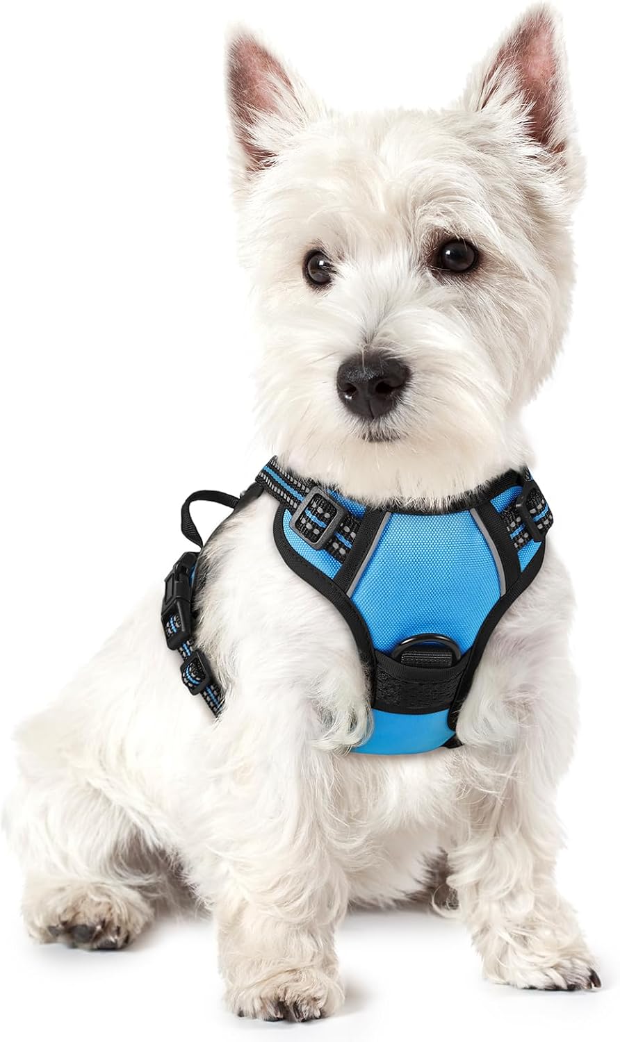 Dog Harness, No Pull for Large Dogs with 2 Leash Clips, Pet Vest | No Choke with Handle, Adjustable Soft Padded, Reflective, Easy Control for Walking, Black, Large
