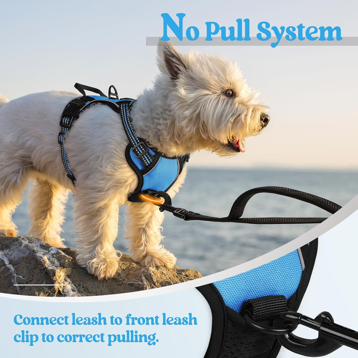 Dog Harness, No Pull for Large Dogs with 2 Leash Clips, Pet Vest | No Choke with Handle, Adjustable Soft Padded, Reflective, Easy Control for Walking, Black, Large