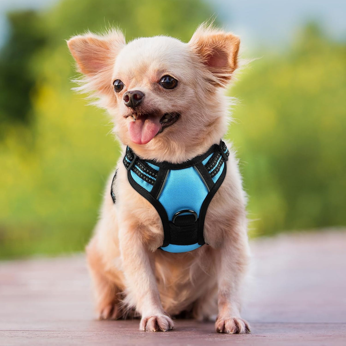 Dog Harness, No Pull for Large Dogs with 2 Leash Clips, Pet Vest | No Choke with Handle, Adjustable Soft Padded, Reflective, Easy Control for Walking, Black, Large