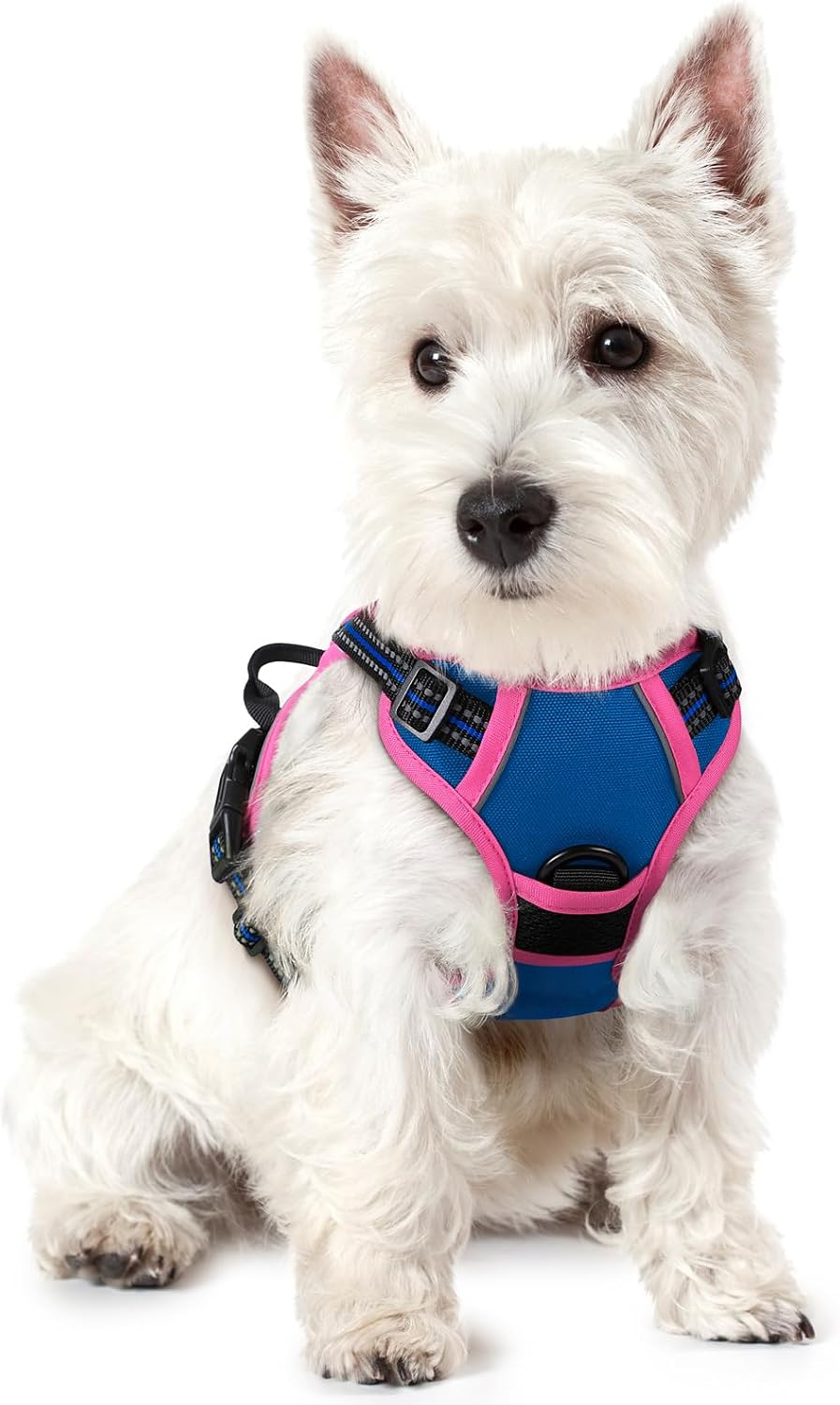 Dog Harness, No Pull for Large Dogs with 2 Leash Clips, Pet Vest | No Choke with Handle, Adjustable Soft Padded, Reflective, Easy Control for Walking, Black, Large