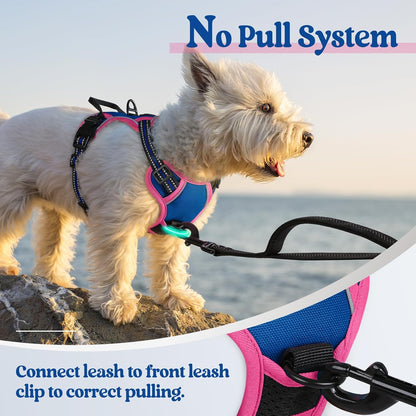 Dog Harness, No Pull for Large Dogs with 2 Leash Clips, Pet Vest | No Choke with Handle, Adjustable Soft Padded, Reflective, Easy Control for Walking, Black, Large