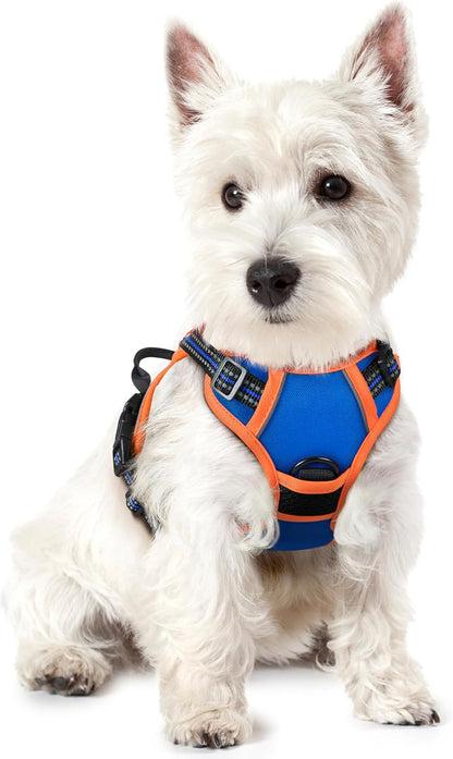 Dog Harness, No Pull for Large Dogs with 2 Leash Clips, Pet Vest | No Choke with Handle, Adjustable Soft Padded, Reflective, Easy Control for Walking, Black, Large