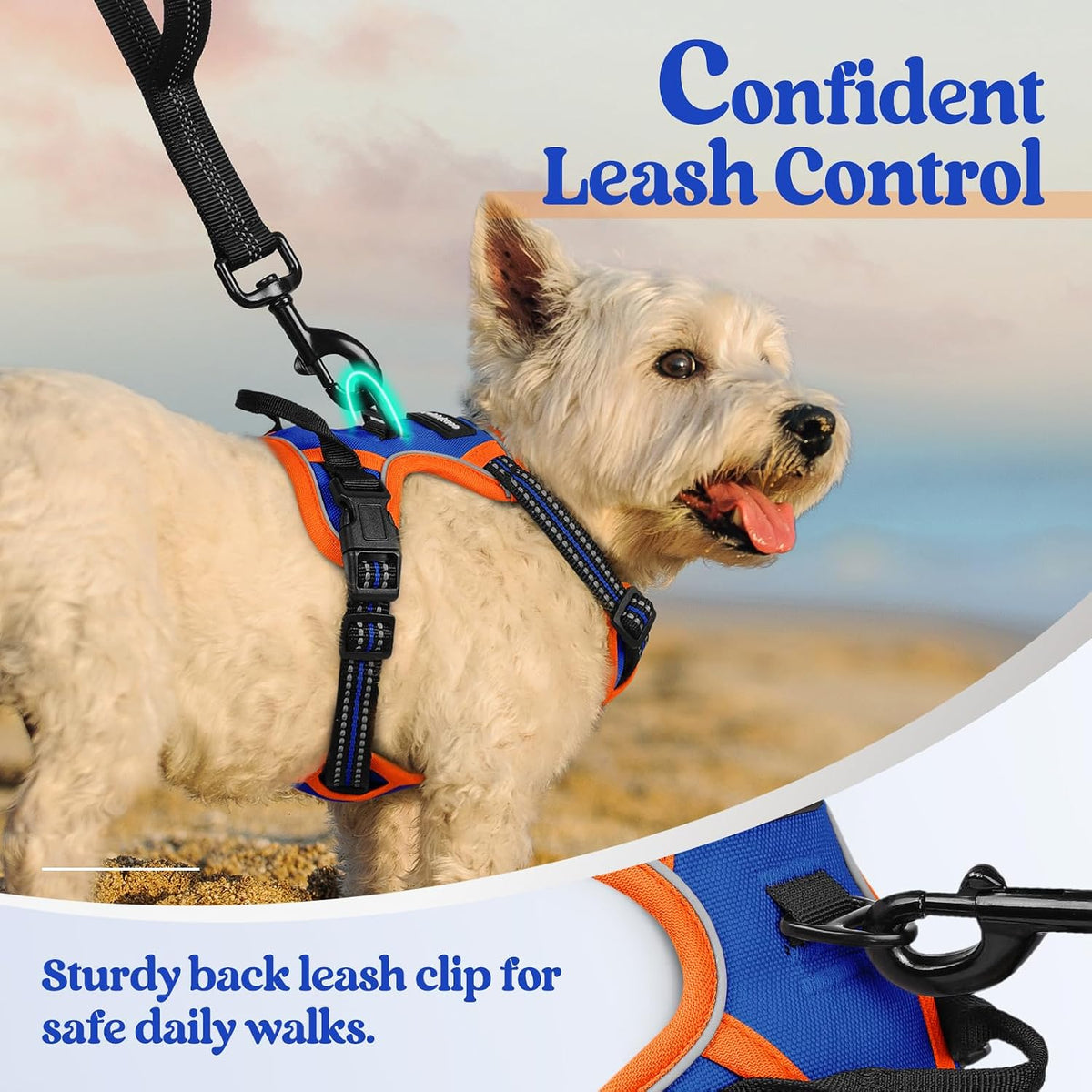 Dog Harness, No Pull for Large Dogs with 2 Leash Clips, Pet Vest | No Choke with Handle, Adjustable Soft Padded, Reflective, Easy Control for Walking, Black, Large