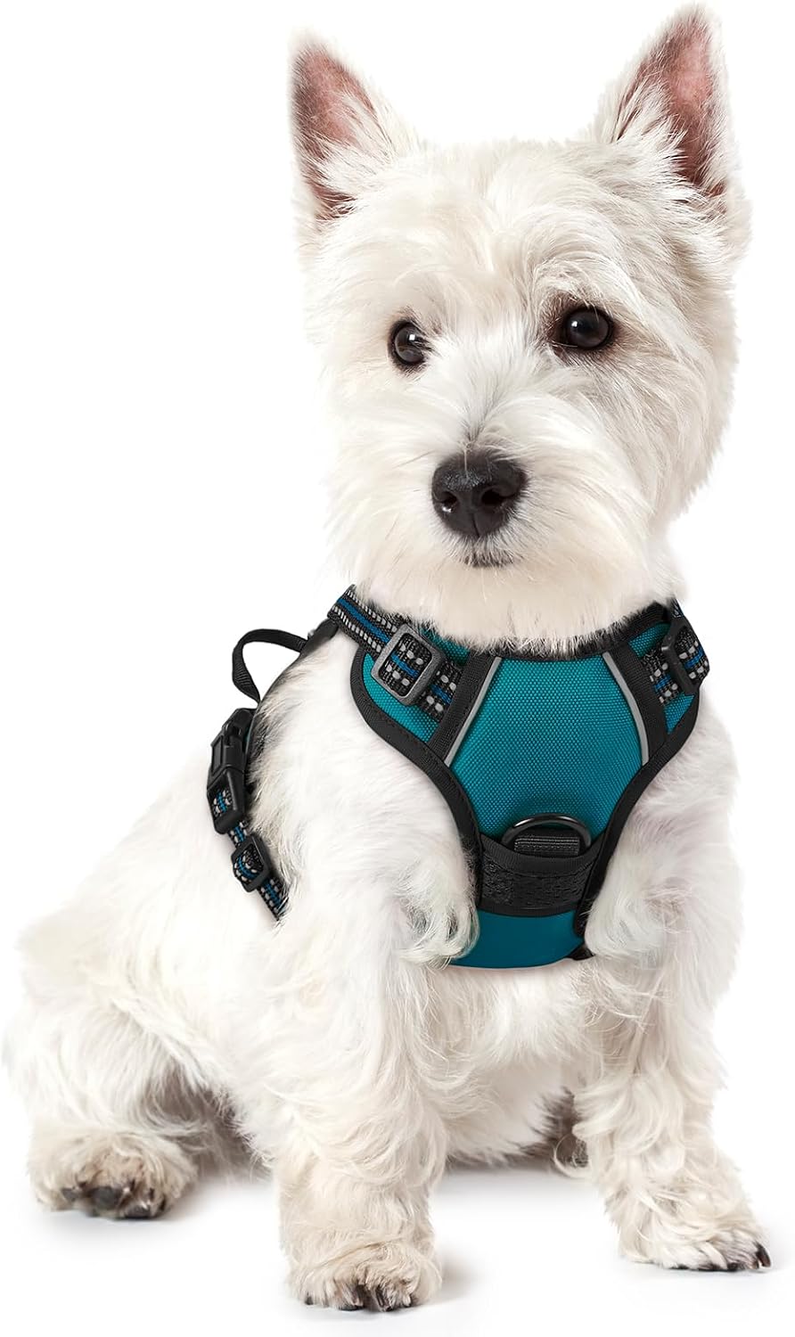 Dog Harness, No Pull for Large Dogs with 2 Leash Clips, Pet Vest | No Choke with Handle, Adjustable Soft Padded, Reflective, Easy Control for Walking, Black, Large