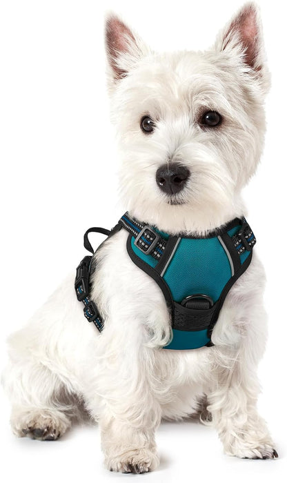 Dog Harness, No Pull for Large Dogs with 2 Leash Clips, Pet Vest | No Choke with Handle, Adjustable Soft Padded, Reflective, Easy Control for Walking, Black, Large