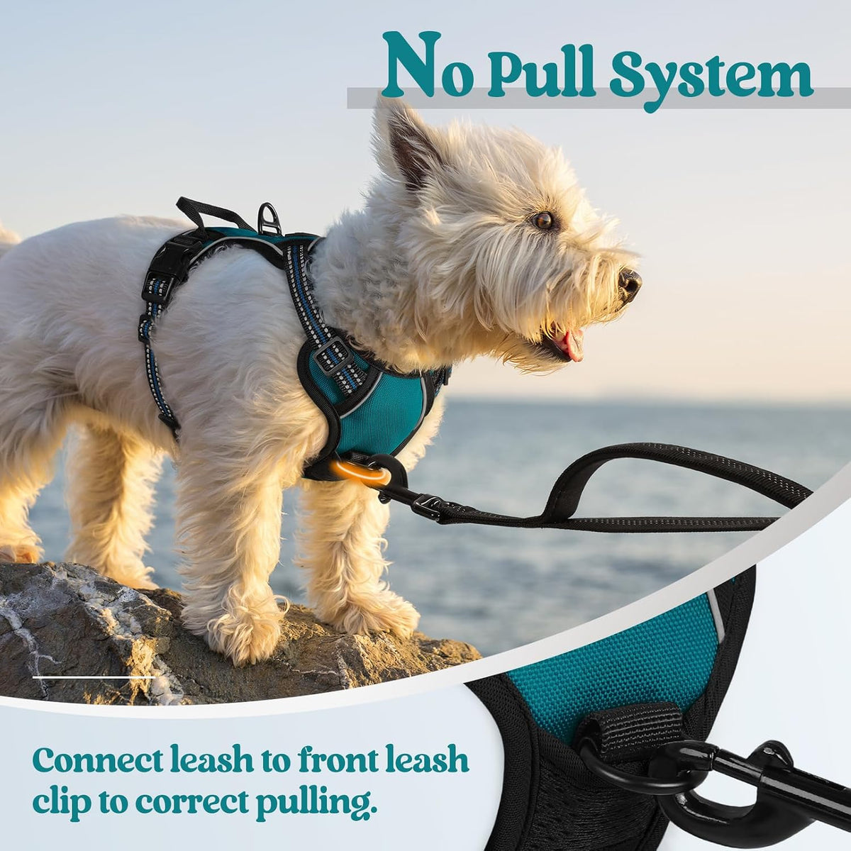 Dog Harness, No Pull for Large Dogs with 2 Leash Clips, Pet Vest | No Choke with Handle, Adjustable Soft Padded, Reflective, Easy Control for Walking, Black, Large