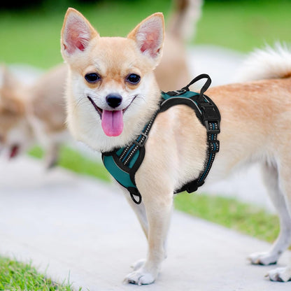 Dog Harness, No Pull for Large Dogs with 2 Leash Clips, Pet Vest | No Choke with Handle, Adjustable Soft Padded, Reflective, Easy Control for Walking, Black, Large