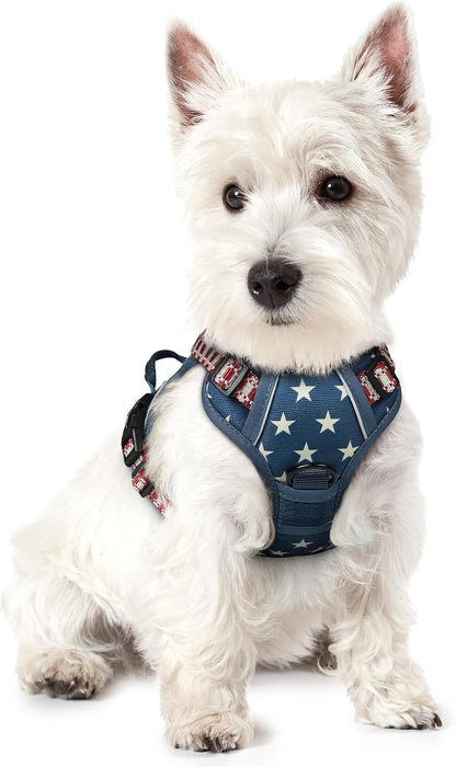 Dog Harness, No Pull for Large Dogs with 2 Leash Clips, Pet Vest | No Choke with Handle, Adjustable Soft Padded, Reflective, Easy Control for Walking, Black, Large
