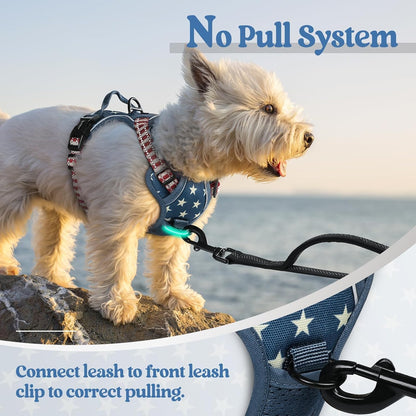 Dog Harness, No Pull for Large Dogs with 2 Leash Clips, Pet Vest | No Choke with Handle, Adjustable Soft Padded, Reflective, Easy Control for Walking, Black, Large