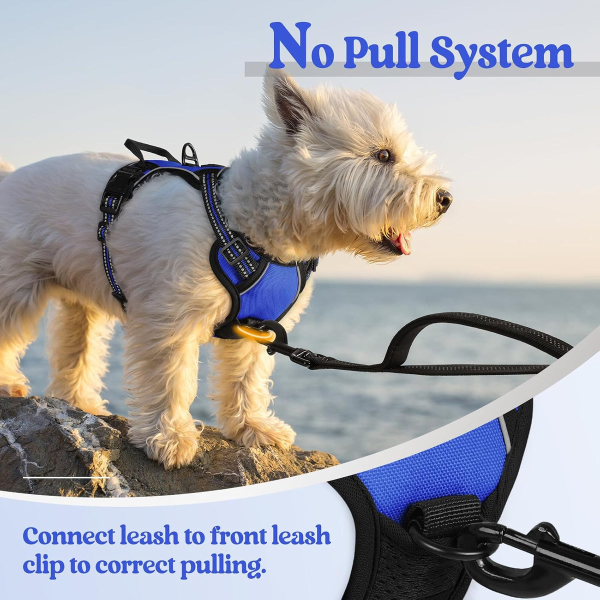 Dog Harness, No Pull for Large Dogs with 2 Leash Clips, Pet Vest | No Choke with Handle, Adjustable Soft Padded, Reflective, Easy Control for Walking, Black, Large