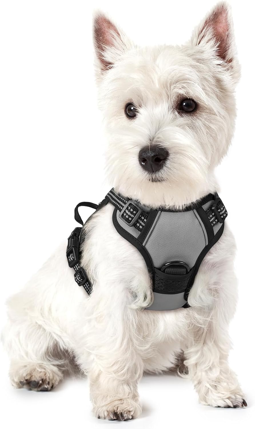 Dog Harness, No Pull for Large Dogs with 2 Leash Clips, Pet Vest | No Choke with Handle, Adjustable Soft Padded, Reflective, Easy Control for Walking, Black, Large