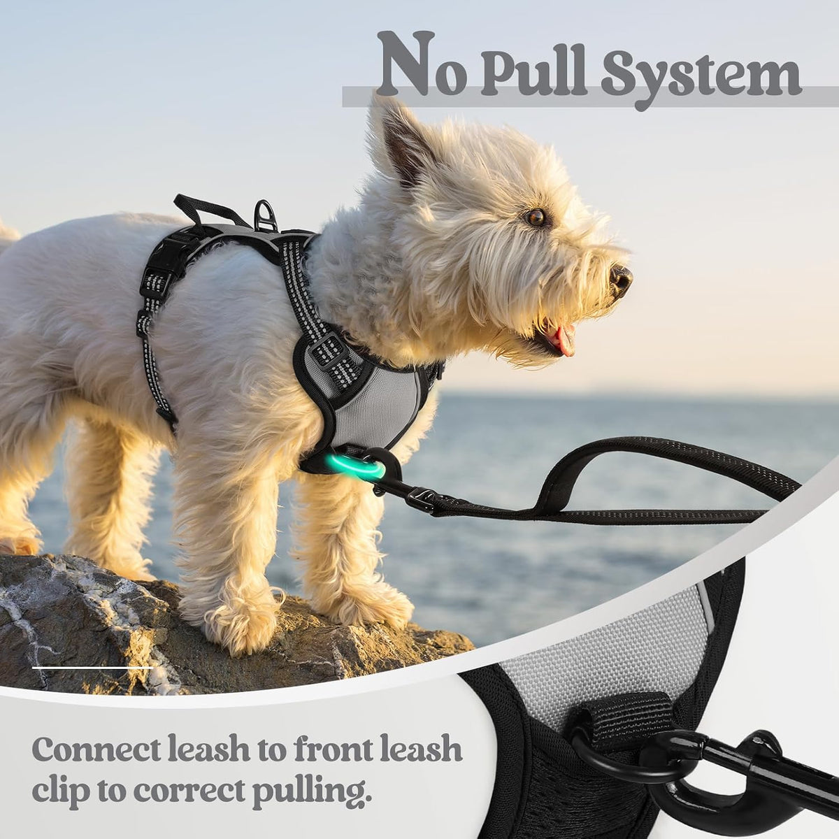 Dog Harness, No Pull for Large Dogs with 2 Leash Clips, Pet Vest | No Choke with Handle, Adjustable Soft Padded, Reflective, Easy Control for Walking, Black, Large