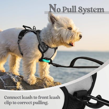 Dog Harness, No Pull for Large Dogs with 2 Leash Clips, Pet Vest | No Choke with Handle, Adjustable Soft Padded, Reflective, Easy Control for Walking, Black, Large