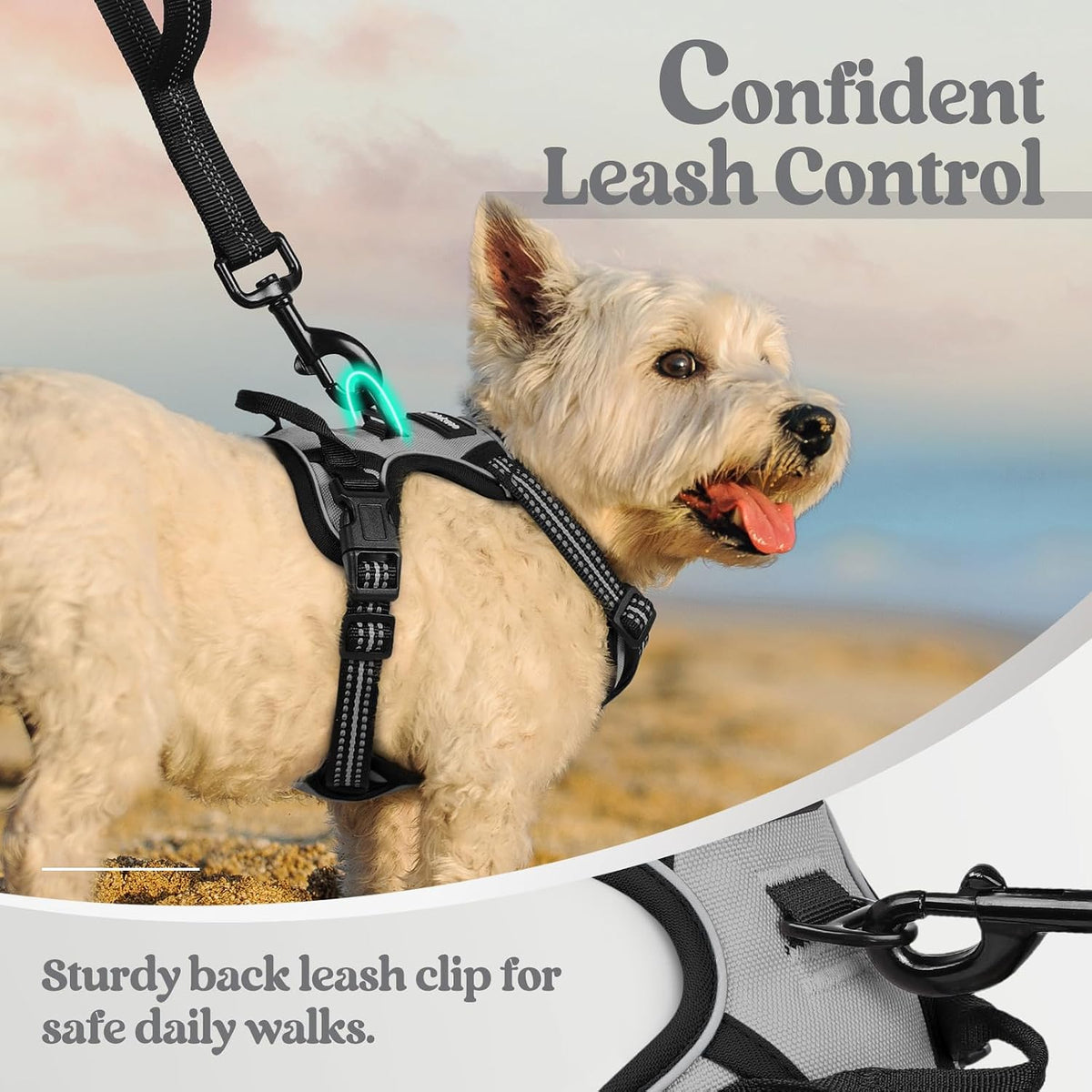 Dog Harness, No Pull for Large Dogs with 2 Leash Clips, Pet Vest | No Choke with Handle, Adjustable Soft Padded, Reflective, Easy Control for Walking, Black, Large