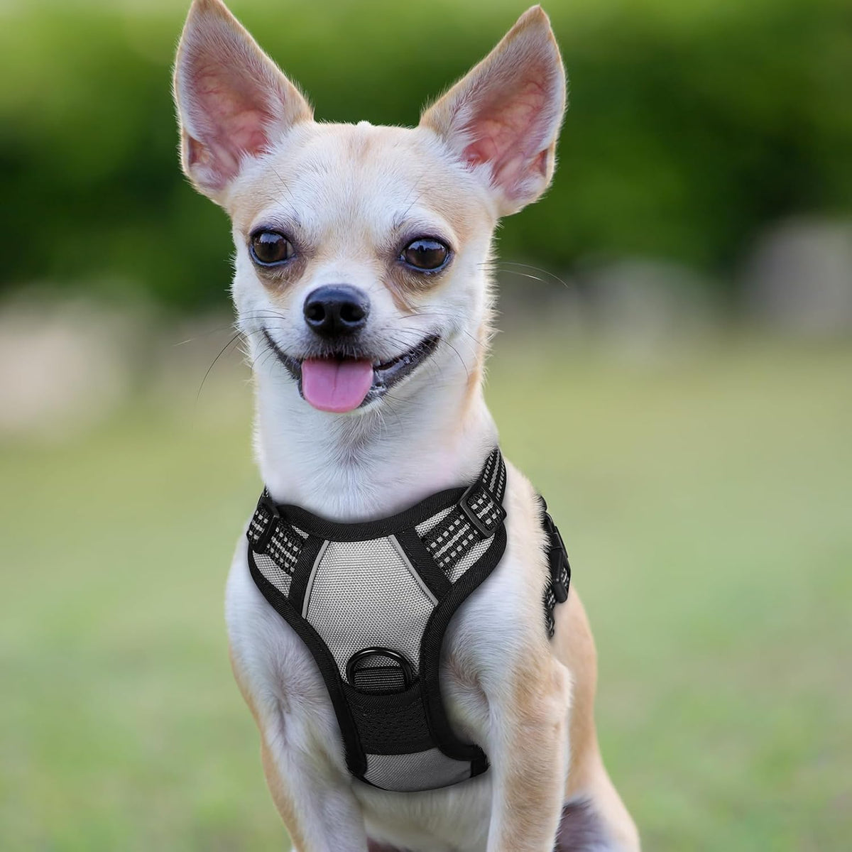 Dog Harness, No Pull for Large Dogs with 2 Leash Clips, Pet Vest | No Choke with Handle, Adjustable Soft Padded, Reflective, Easy Control for Walking, Black, Large