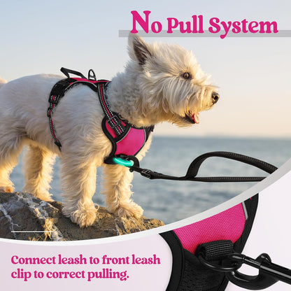 Dog Harness, No Pull for Large Dogs with 2 Leash Clips, Pet Vest | No Choke with Handle, Adjustable Soft Padded, Reflective, Easy Control for Walking, Black, Large